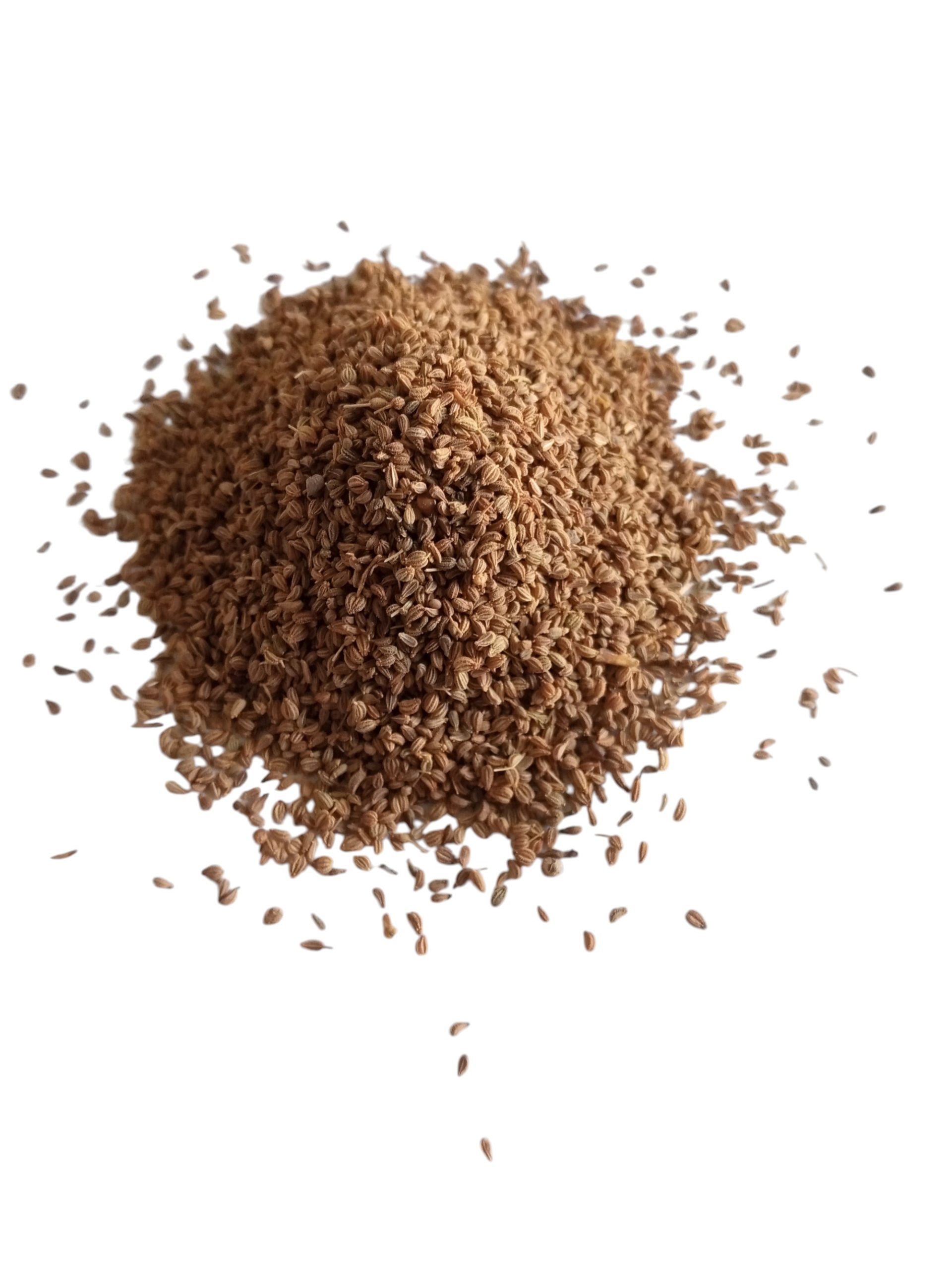 Ajwain /Carom seeds(100 Grams)