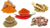 5 Must-Have Spices in Pakistani Cuisine That Will Elevate Your Cooking